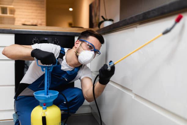 Best Best Pest Control Companies  in Leeds, AL