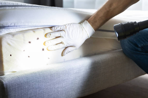 Pest Prevention Services in Leeds, AL