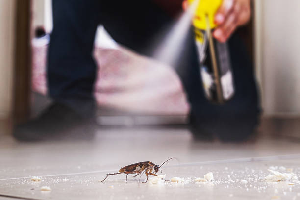 Best Flea Control Services  in Leeds, AL