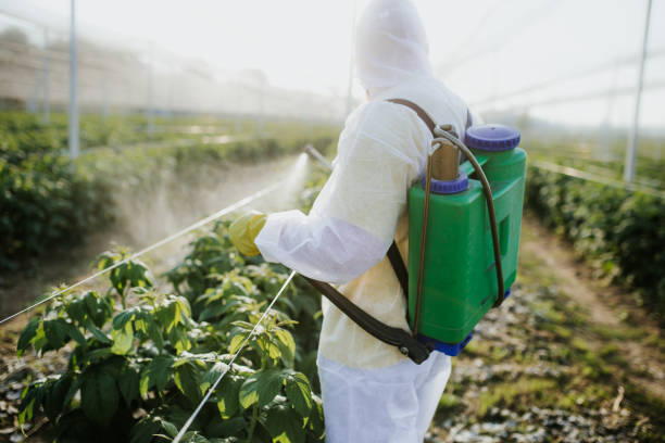 Professional Pest Control in Leeds, AL